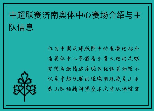 中超联赛济南奥体中心赛场介绍与主队信息