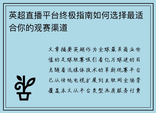 英超直播平台终极指南如何选择最适合你的观赛渠道